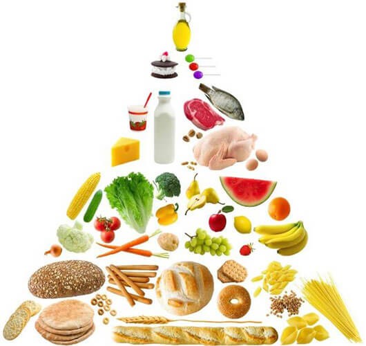 Nutricion